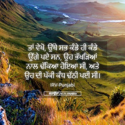 Picture 05 - ਕਹਾਉਤਾਂ 24:31 PANIRV - ਤਾਂ ਵੇਖੋ, ਉੱਥੇ ਸਭ - Bible Verse Picture