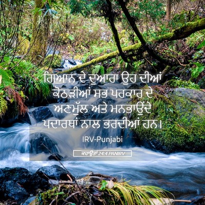 Picture 05 - ਕਹਾਉਤਾਂ 24:4 PANIRV - ਗਿਆਨ ਦੇ ਦੁਆਰਾ ਉਹ - Bible Verse Picture
