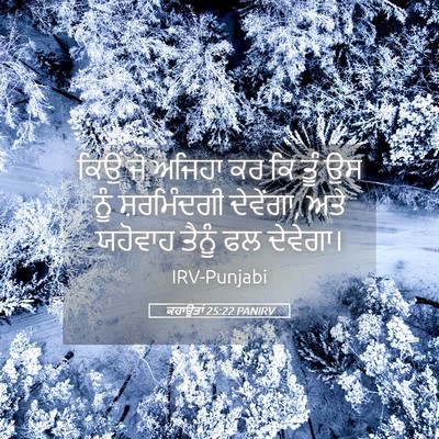 Picture 05 - ਕਹਾਉਤਾਂ 25:22 PANIRV - ਕਿਉਂ ਜੋ ਅਜਿਹਾ ਕਰ ਕਿ - Bible Verse Picture