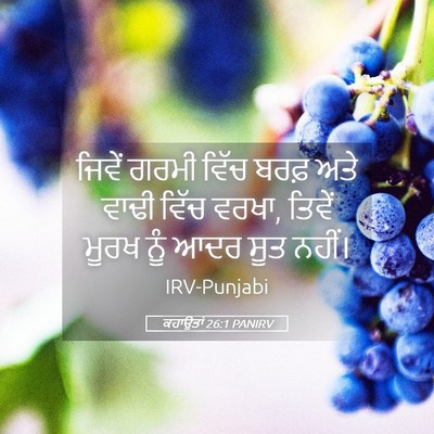 Picture 05 - ਕਹਾਉਤਾਂ 26:1 PANIRV - ਜਿਵੇਂ ਗਰਮੀ ਵਿੱਚ - Bible Verse Picture