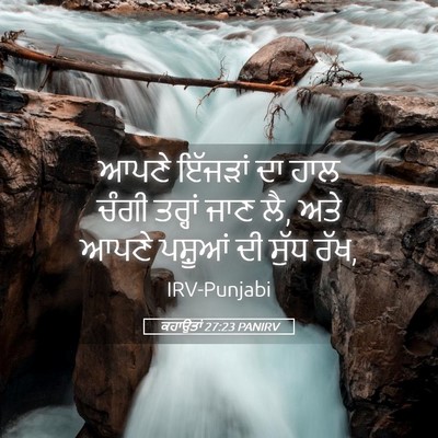 Picture 05 - ਕਹਾਉਤਾਂ 27:23 PANIRV - ਆਪਣੇ ਇੱਜੜਾਂ ਦਾ ਹਾਲ - Bible Verse Picture