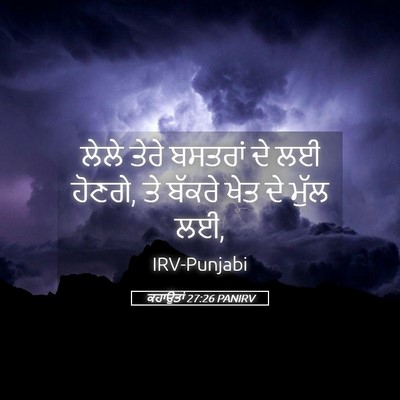Picture 05 - ਕਹਾਉਤਾਂ 27:26 PANIRV - ਲੇਲੇ ਤੇਰੇ ਬਸਤਰਾਂ - Bible Verse Picture