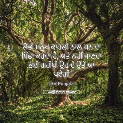Picture 05 - ਕਹਾਉਤਾਂ 28:22 PANIRV - ਲੋਭੀ ਮਨੁੱਖ ਕਾਹਲੀ - Bible Verse Picture