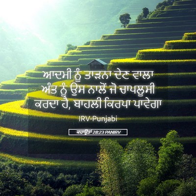 Picture 05 - ਕਹਾਉਤਾਂ 28:23 PANIRV - ਆਦਮੀ ਨੂੰ ਤਾੜਨਾ ਦੇਣ - Bible Verse Picture