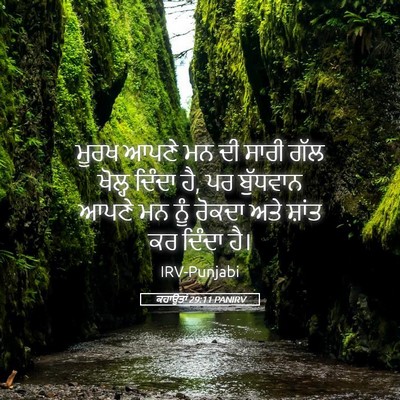 Picture 05 - ਕਹਾਉਤਾਂ 29:11 PANIRV - ਮੂਰਖ ਆਪਣੇ ਮਨ ਦੀ - Bible Verse Picture