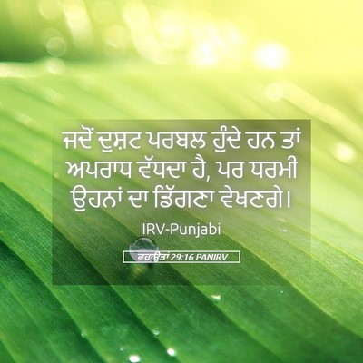 Picture 05 - ਕਹਾਉਤਾਂ 29:16 PANIRV - ਜਦੋਂ ਦੁਸ਼ਟ ਪਰਬਲ - Bible Verse Picture