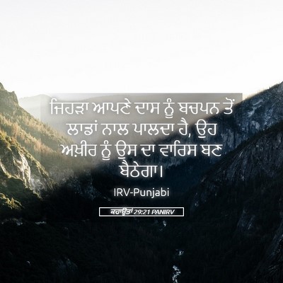 Picture 05 - ਕਹਾਉਤਾਂ 29:21 PANIRV - ਜਿਹੜਾ ਆਪਣੇ ਦਾਸ ਨੂੰ - Bible Verse Picture