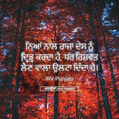 Picture 05 - ਕਹਾਉਤਾਂ 29:4 PANIRV - ਨਿਆਂ ਨਾਲ ਰਾਜਾ ਦੇਸ - Bible Verse Picture