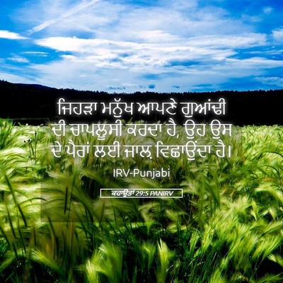 Picture 05 - ਕਹਾਉਤਾਂ 29:5 PANIRV - ਜਿਹੜਾ ਮਨੁੱਖ ਆਪਣੇ - Bible Verse Picture
