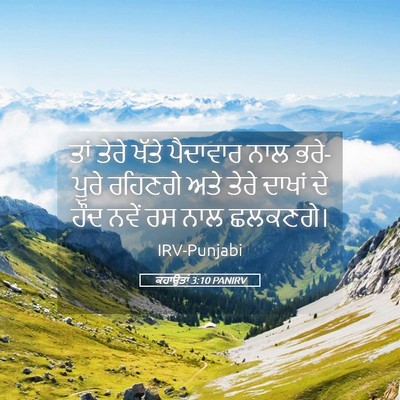 Picture 05 - ਕਹਾਉਤਾਂ 3:10 PANIRV - ਤਾਂ ਤੇਰੇ ਖੱਤੇ - Bible Verse Picture