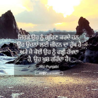 Picture 05 - ਕਹਾਉਤਾਂ 3:18 PANIRV - ਜਿਹੜੇ ਉਹ ਨੂੰ - Bible Verse Picture