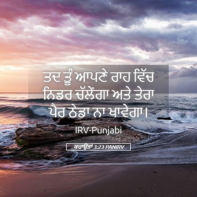 Picture 05 - ਕਹਾਉਤਾਂ 3:23 PANIRV - ਤਦ ਤੂੰ ਆਪਣੇ ਰਾਹ - Bible Verse Picture