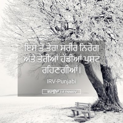 Picture 05 - ਕਹਾਉਤਾਂ 3:8 PANIRV - ਇਸ ਤੋਂ ਤੇਰਾ ਸਰੀਰ - Bible Verse Picture