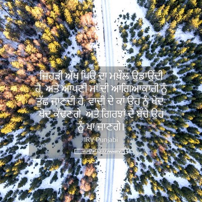 Picture 05 - ਕਹਾਉਤਾਂ 30:17 PANIRV - ਜਿਹੜੀ ਅੱਖ ਪਿਉ ਦਾ - Bible Verse Picture