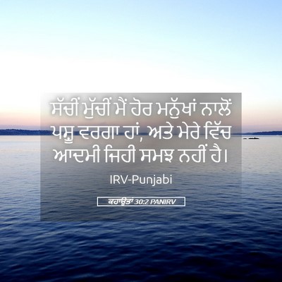 Picture 05 - ਕਹਾਉਤਾਂ 30:2 PANIRV - ਸੱਚੀਂ ਮੁੱਚੀਂ ਮੈਂ - Bible Verse Picture