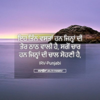 Picture 05 - ਕਹਾਉਤਾਂ 30:29 PANIRV - ਇਹ ਤਿੰਨ ਵਸਤਾਂ ਹਨ - Bible Verse Picture