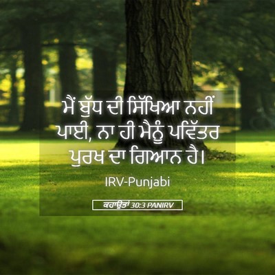 Picture 05 - ਕਹਾਉਤਾਂ 30:3 PANIRV - ਮੈਂ ਬੁੱਧ ਦੀ ਸਿੱਖਿਆ - Bible Verse Picture