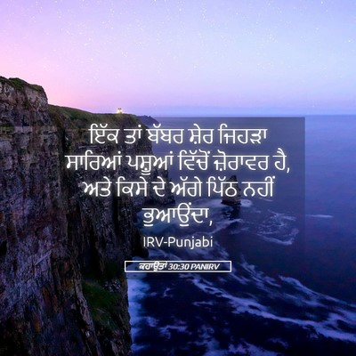Picture 05 - ਕਹਾਉਤਾਂ 30:30 PANIRV - ਇੱਕ ਤਾਂ ਬੱਬਰ ਸ਼ੇਰ - Bible Verse Picture
