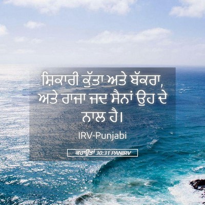 Picture 05 - ਕਹਾਉਤਾਂ 30:31 PANIRV - ਸ਼ਿਕਾਰੀ ਕੁੱਤਾ ਅਤੇ - Bible Verse Picture