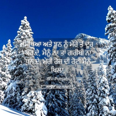 Picture 05 - ਕਹਾਉਤਾਂ 30:8 PANIRV - ਮਿੱਥਿਆ ਅਤੇ ਝੂਠ ਨੂੰ - Bible Verse Picture