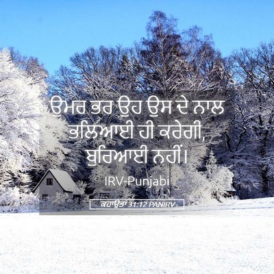 Picture 05 - ਕਹਾਉਤਾਂ 31:12 PANIRV - ਉਮਰ ਭਰ ਉਹ ਉਸ ਦੇ ਨਾਲ - Bible Verse Picture