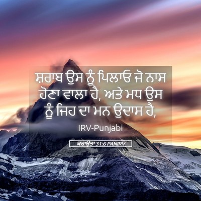 Picture 05 - ਕਹਾਉਤਾਂ 31:6 PANIRV - ਸ਼ਰਾਬ ਉਸ ਨੂੰ ਪਿਲਾਓ - Bible Verse Picture