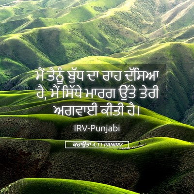 Picture 05 - ਕਹਾਉਤਾਂ 4:11 PANIRV - ਮੈਂ ਤੈਨੂੰ ਬੁੱਧ ਦਾ - Bible Verse Picture