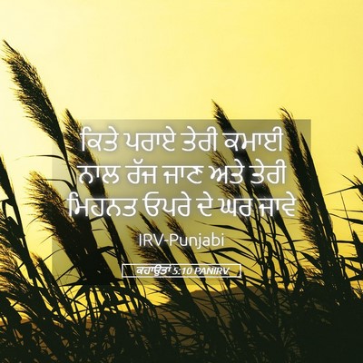 Picture 05 - ਕਹਾਉਤਾਂ 5:10 PANIRV - ਕਿਤੇ ਪਰਾਏ ਤੇਰੀ - Bible Verse Picture