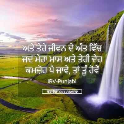 Picture 05 - ਕਹਾਉਤਾਂ 5:11 PANIRV - ਅਤੇ ਤੇਰੇ ਜੀਵਨ ਦੇ - Bible Verse Picture