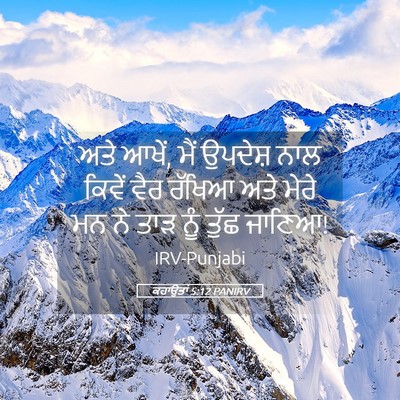 Picture 05 - ਕਹਾਉਤਾਂ 5:12 PANIRV - ਅਤੇ ਆਖੇਂ, ਮੈਂ - Bible Verse Picture