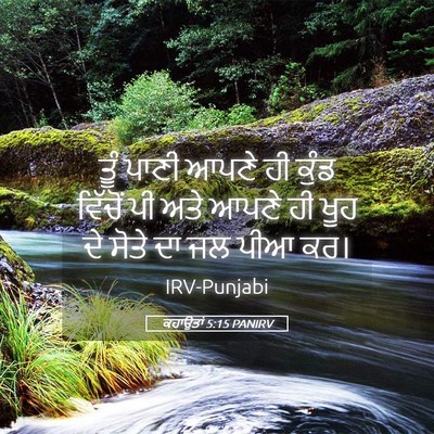 Picture 05 - ਕਹਾਉਤਾਂ 5:15 PANIRV - ਤੂੰ ਪਾਣੀ ਆਪਣੇ ਹੀ - Bible Verse Picture