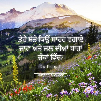 Picture 05 - ਕਹਾਉਤਾਂ 5:16 PANIRV - ਤੇਰੇ ਸੋਤੇ ਕਿਉਂ - Bible Verse Picture