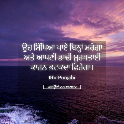 Picture 05 - ਕਹਾਉਤਾਂ 5:23 PANIRV - ਉਹ ਸਿੱਖਿਆ ਪਾਏ - Bible Verse Picture