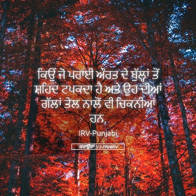Picture 05 - ਕਹਾਉਤਾਂ 5:3 PANIRV - ਕਿਉਂ ਜੋ ਪਰਾਈ ਔਰਤ ਦੇ - Bible Verse Picture