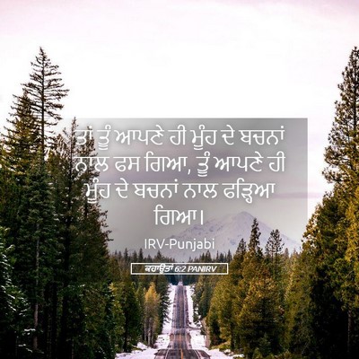 Picture 05 - ਕਹਾਉਤਾਂ 6:2 PANIRV - ਤਾਂ ਤੂੰ ਆਪਣੇ ਹੀ - Bible Verse Picture