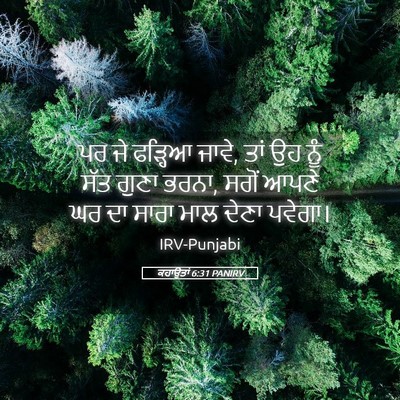 Picture 05 - ਕਹਾਉਤਾਂ 6:31 PANIRV - ਪਰ ਜੇ ਫੜ੍ਹਿਆ ਜਾਵੇ, - Bible Verse Picture