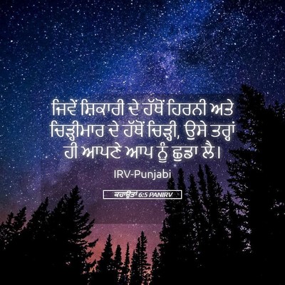 Picture 05 - ਕਹਾਉਤਾਂ 6:5 PANIRV - ਜਿਵੇਂ ਸ਼ਿਕਾਰੀ ਦੇ - Bible Verse Picture
