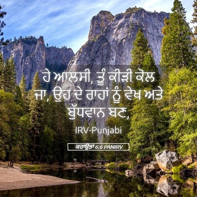 Picture 05 - ਕਹਾਉਤਾਂ 6:6 PANIRV - ਹੇ ਆਲਸੀ, ਤੂੰ ਕੀੜੀ - Bible Verse Picture
