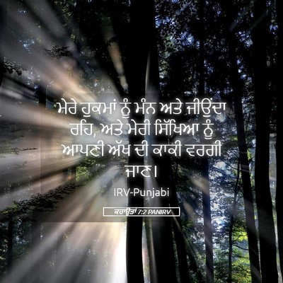 Picture 05 - ਕਹਾਉਤਾਂ 7:2 PANIRV - ਮੇਰੇ ਹੁਕਮਾਂ ਨੂੰ - Bible Verse Picture