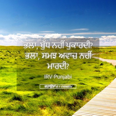 Picture 05 - ਕਹਾਉਤਾਂ 8:1 PANIRV - ਭਲਾ, ਬੁੱਧ ਨਹੀਂ - Bible Verse Picture