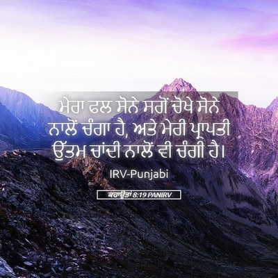 Picture 05 - ਕਹਾਉਤਾਂ 8:19 PANIRV - ਮੇਰਾ ਫਲ ਸੋਨੇ ਸਗੋਂ - Bible Verse Picture
