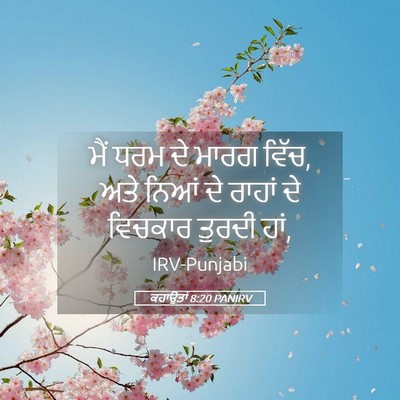 Picture 05 - ਕਹਾਉਤਾਂ 8:20 PANIRV - ਮੈਂ ਧਰਮ ਦੇ ਮਾਰਗ - Bible Verse Picture