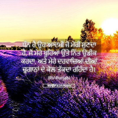 Picture 05 - ਕਹਾਉਤਾਂ 8:34 PANIRV - ਧੰਨ ਹੈ ਉਹ ਆਦਮੀ ਜੋ - Bible Verse Picture