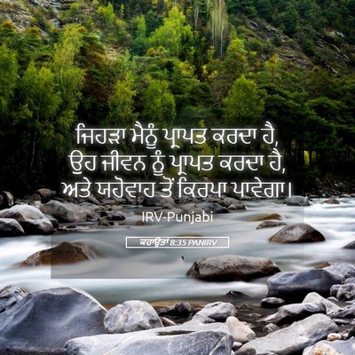 Picture 05 - ਕਹਾਉਤਾਂ 8:35 PANIRV - ਜਿਹੜਾ ਮੈਨੂੰ - Bible Verse Picture
