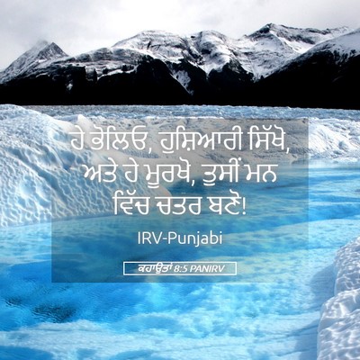 Picture 05 - ਕਹਾਉਤਾਂ 8:5 PANIRV - ਹੇ ਭੋਲਿਓ, ਹੁਸ਼ਿਆਰੀ - Bible Verse Picture