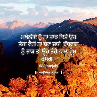 Picture 05 - ਕਹਾਉਤਾਂ 9:8 PANIRV - ਮਖ਼ੌਲੀਏ ਨੂੰ ਨਾ ਤਾੜ - Bible Verse Picture