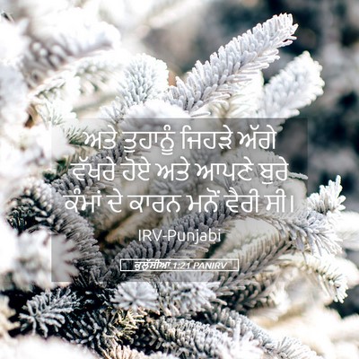 Picture 05 - ਕੁਲੁੱਸੀਆਂ 1:21 PANIRV - ਅਤੇ ਤੁਹਾਨੂੰ ਜਿਹੜੇ - Bible Verse Picture