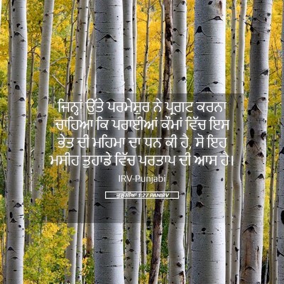 Picture 05 - ਕੁਲੁੱਸੀਆਂ 1:27 PANIRV - ਜਿਨ੍ਹਾਂ ਉੱਤੇ - Bible Verse Picture