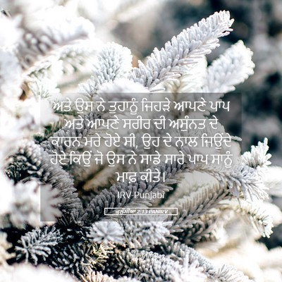 Picture 05 - ਕੁਲੁੱਸੀਆਂ 2:13 PANIRV - ਅਤੇ ਉਸ ਨੇ ਤੁਹਾਨੂੰ - Bible Verse Picture