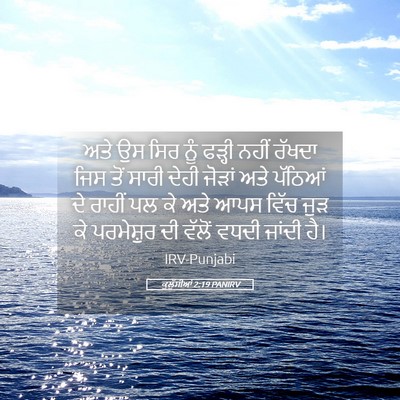 Picture 05 - ਕੁਲੁੱਸੀਆਂ 2:19 PANIRV - ਅਤੇ ਉਸ ਸਿਰ ਨੂੰ - Bible Verse Picture